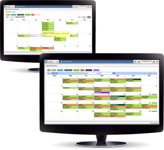 LoIS (Logistics Information System)